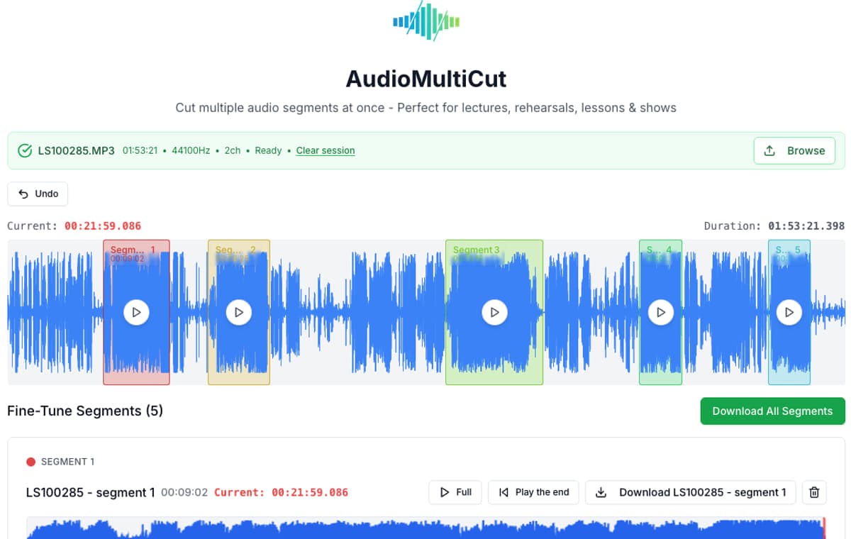 Real AudioMultiCut interface showing a loaded recording, highlighted segments, and the fine-tune editor.