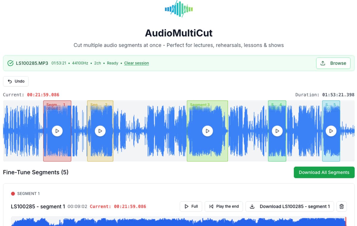 AudioMultiCut editor showing several segments marked in one session.